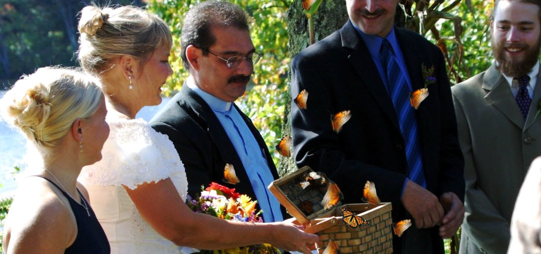 butterfly wedding release